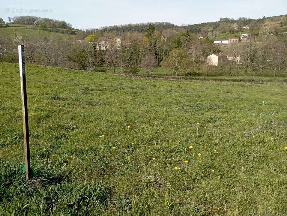 Terrain à FERRIERES-SUR-SICHON
