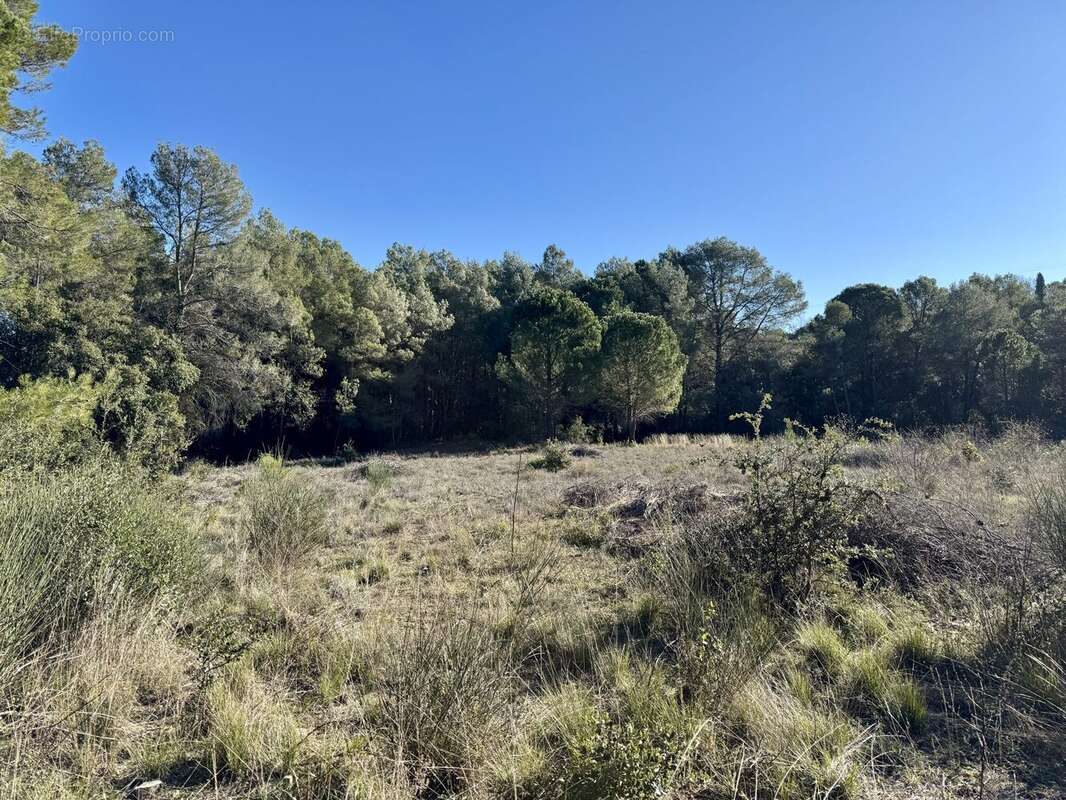 Terrain à CLERMONT-L'HERAULT