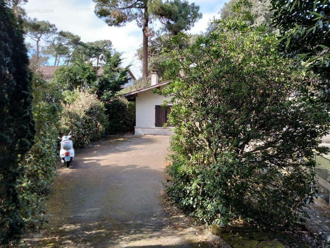 Maison à LA TESTE-DE-BUCH