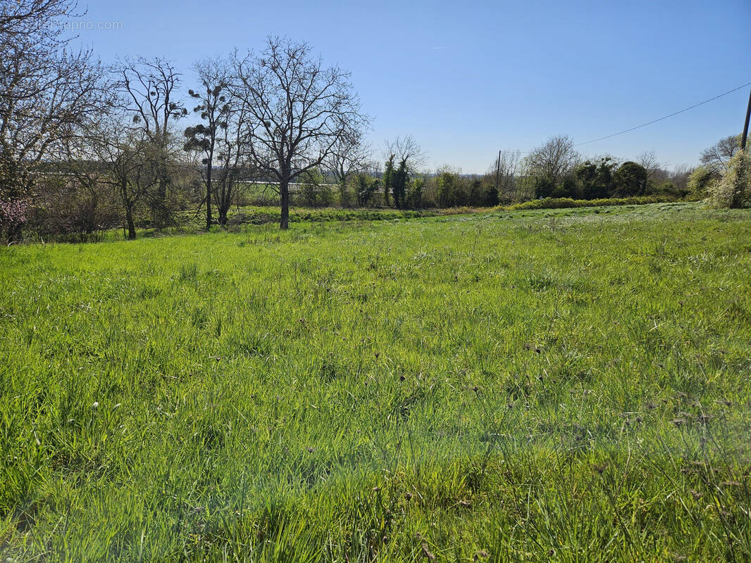 Terrain à ALLEREY-SUR-SAONE