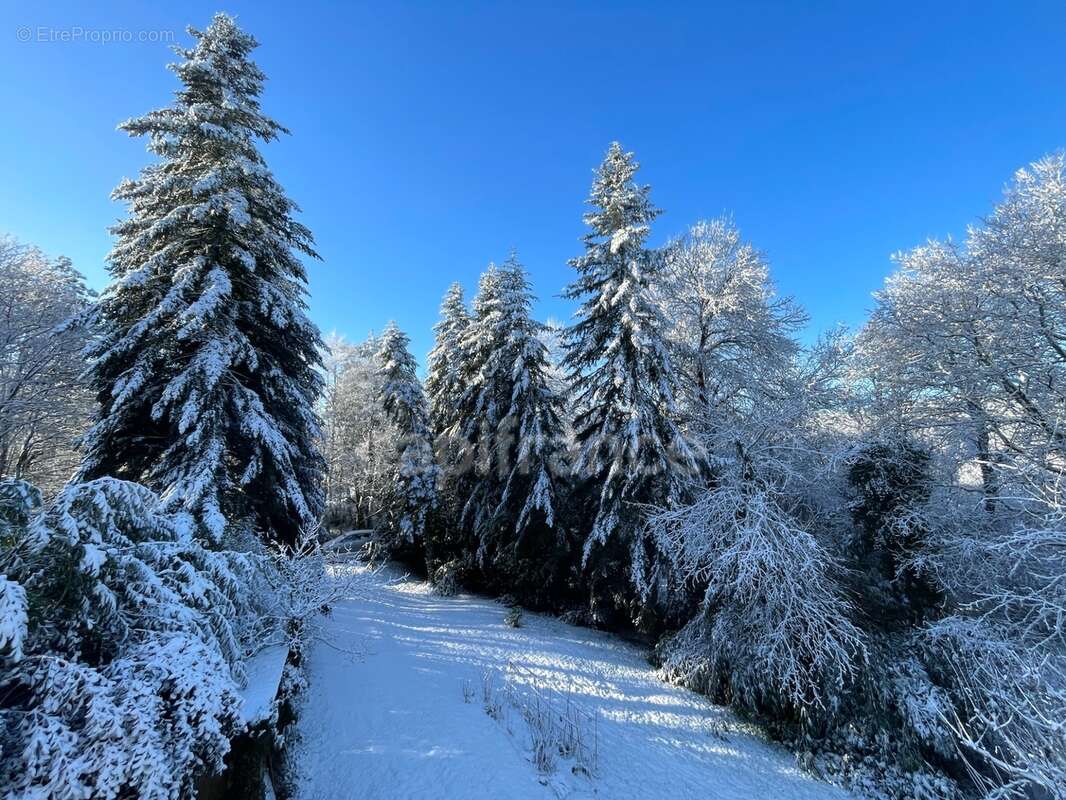 Maison de caractère en pierre – Vue sur la nature – 20 min de Vannes - photo 12