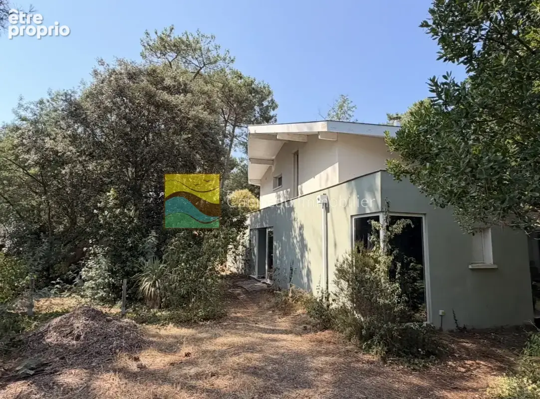 Lacanau Lac - Villa d'architecte à 50 m de l'eau - photo 2