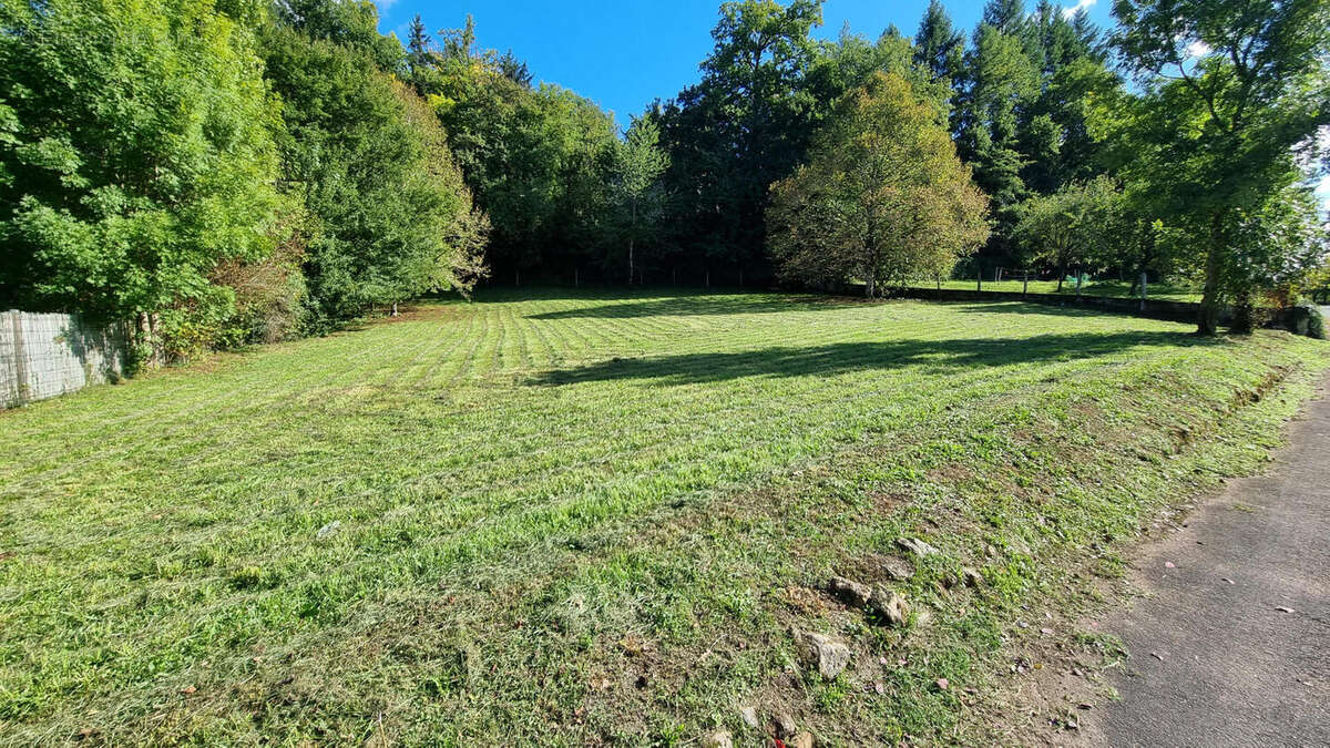 20250930_155428 - Terrain à SAINT-PARDOUX-LA-RIVIERE