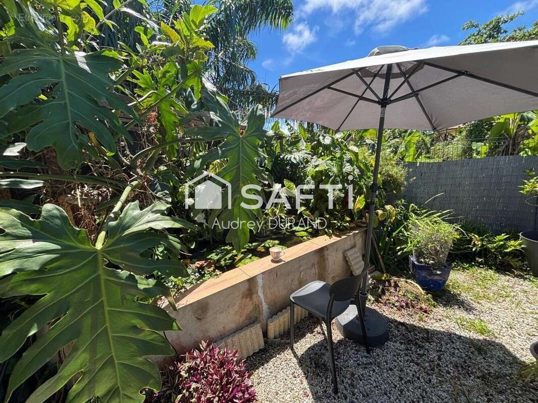 Photo 2 - Maison à CAYENNE