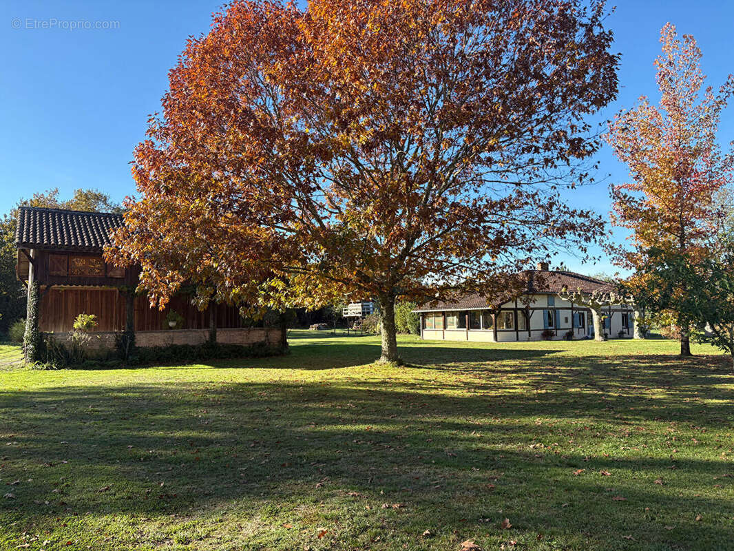 Maison à RION-DES-LANDES