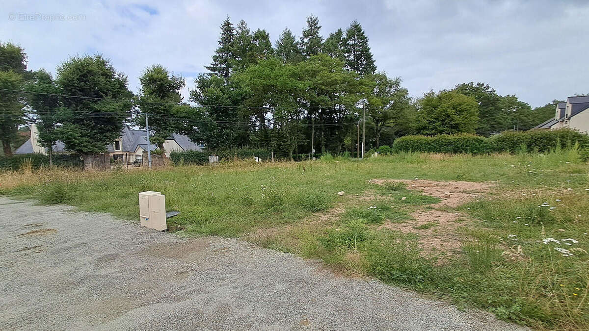 Terrain à SAVENAY