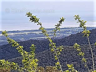 Terrain à PRUNELLI-DI-FIUMORBO