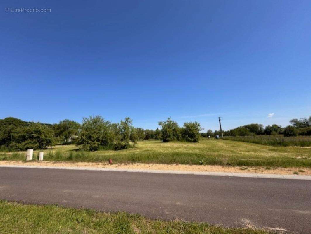 À vendre – Terrain à bâtir viabilisé de 1495 m² à Brandeville (55150) - photo 2