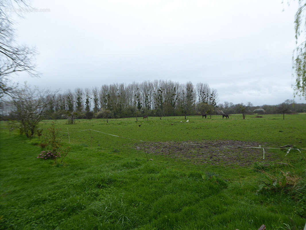 Maison à PONT-L'EVEQUE