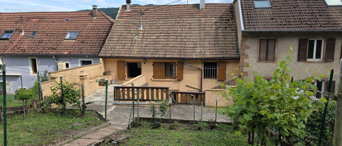 Maison à WISCHES