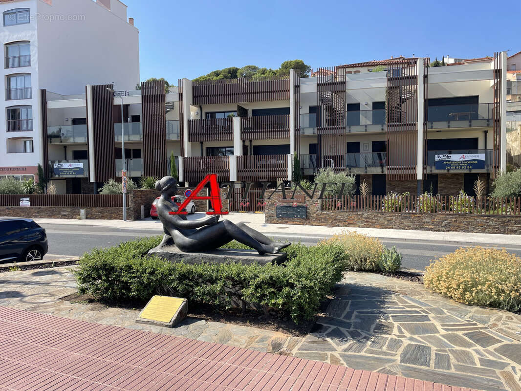 Banyuls sur Mer - Appartement 4 Pièces - Front de Mer - photo 4