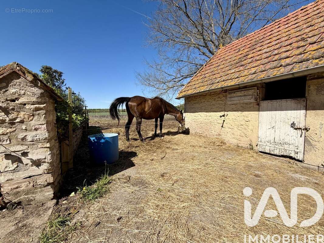 Maison 249 m² à Saint-Ambreuil  - photo 8