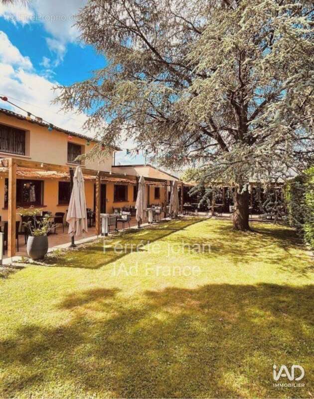 Photo 4 - Commerce à ALBIAS