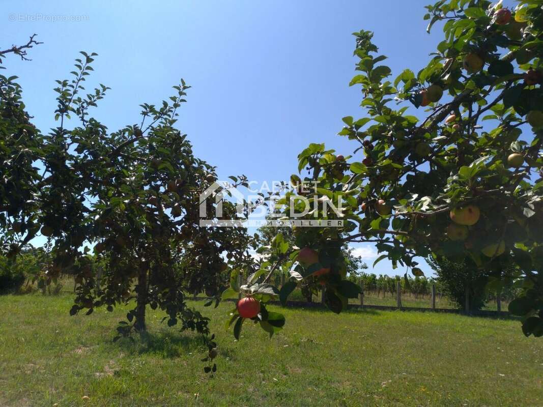 Maison à SAINT-TROJAN