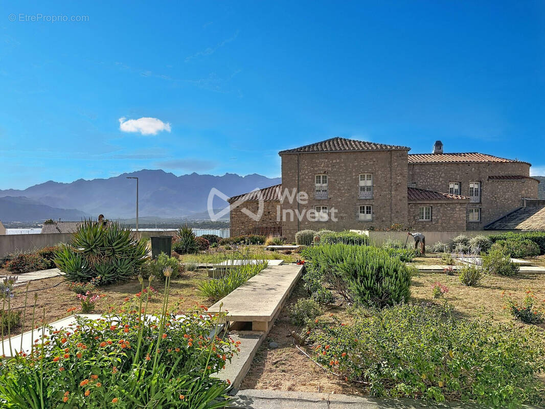 Appartement à CALVI