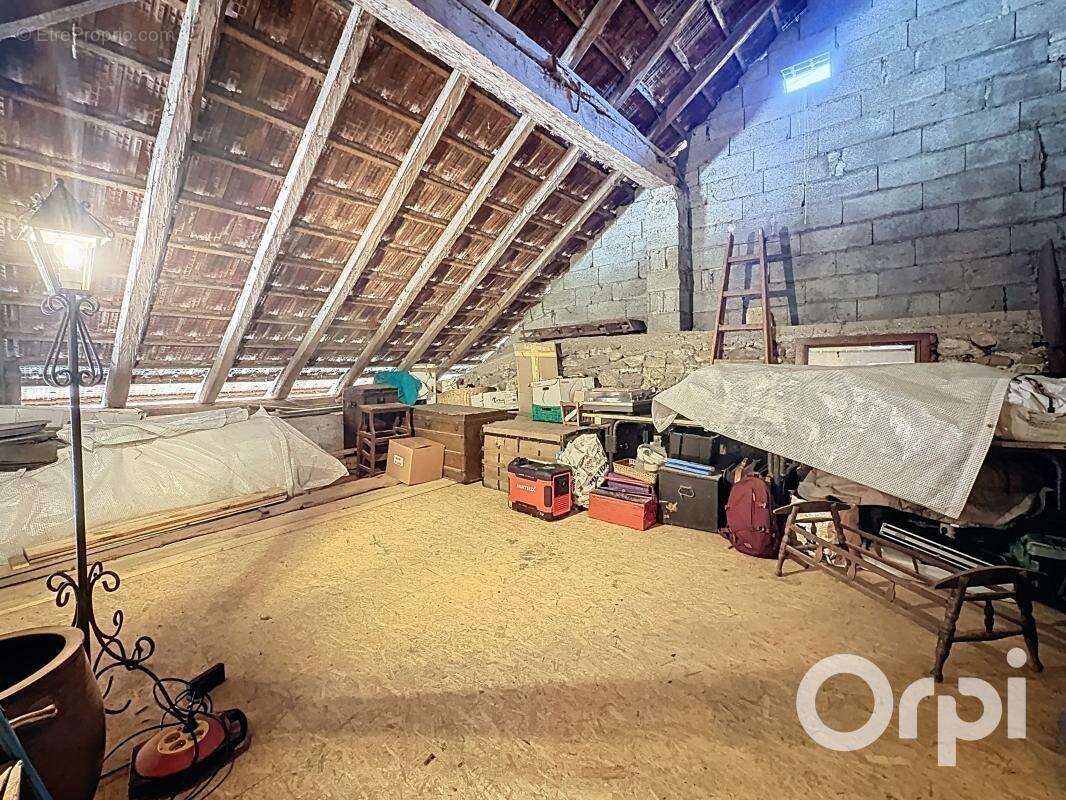 Arenthon-Propriété de caractère avec vue Mont-Blanc, espace équestre et potentiel exceptionnel - photo 30