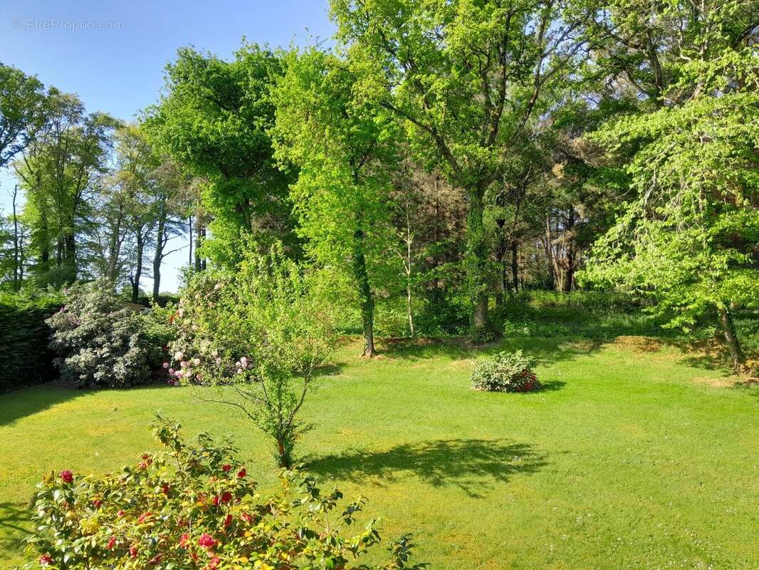 Maison à MALESTROIT