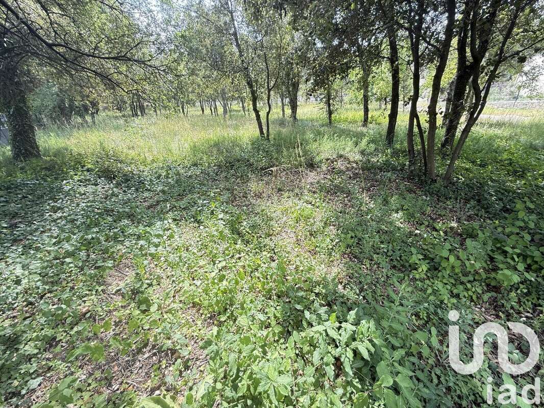 Photo 2 - Terrain à SAINT-RESTITUT