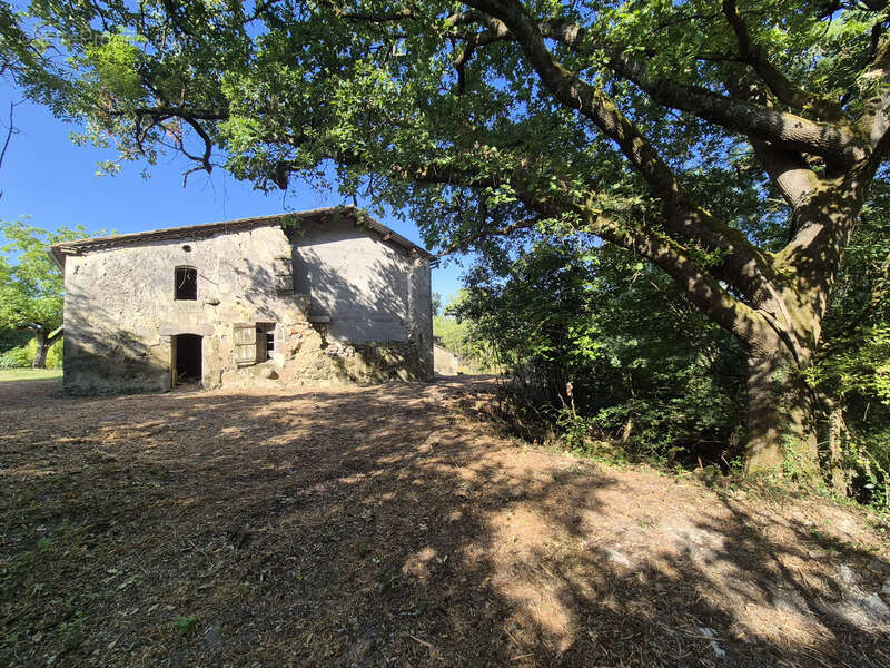 Propriété sur 1,3 hectare boisé entre Condom (32100) et Nérac (47600) - photo 16