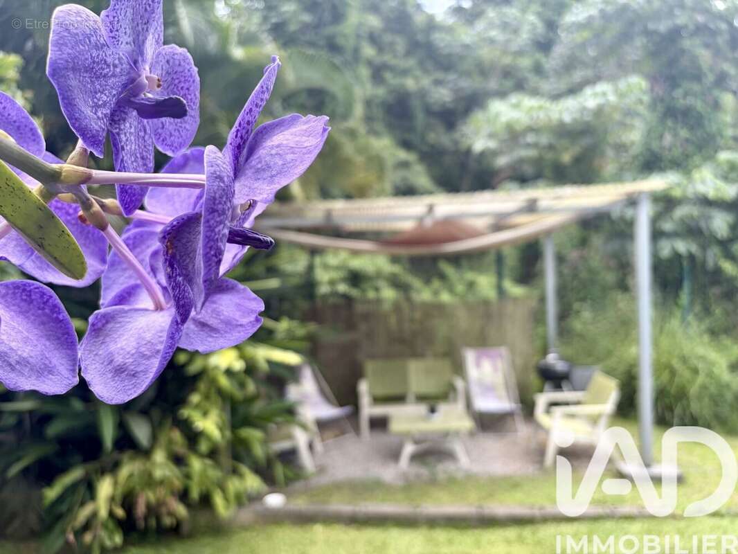 Photo 2 - Maison à GROS-MORNE
