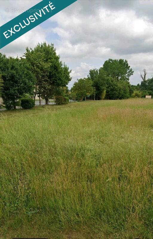 Photo 1 - Terrain à PISANY