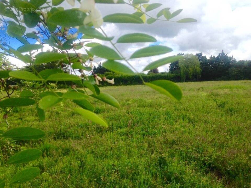 Terrain à CAVAILLON