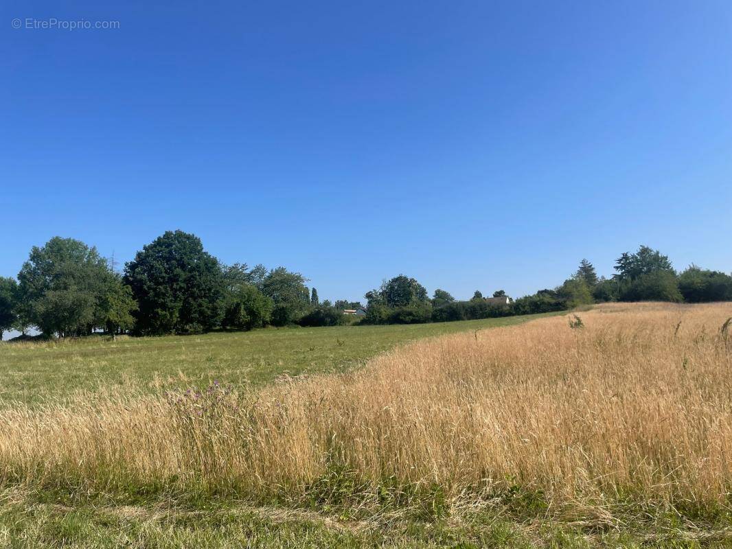 Terrain à SAINT-REMY-LES-CHEVREUSE