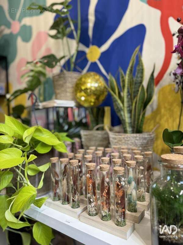 Photo 6 - Commerce à FRANCONVILLE