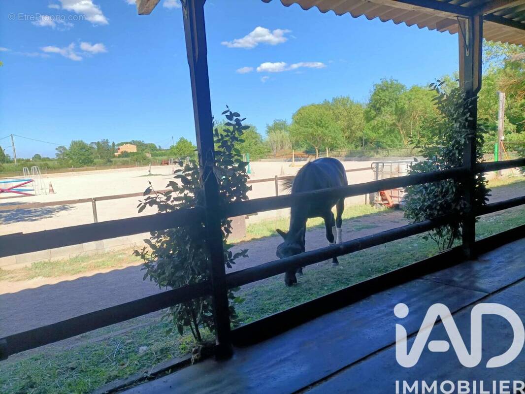 Photo 1 - Maison à LE LUC