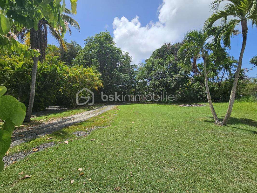 Maison à SAINT-FRANCOIS