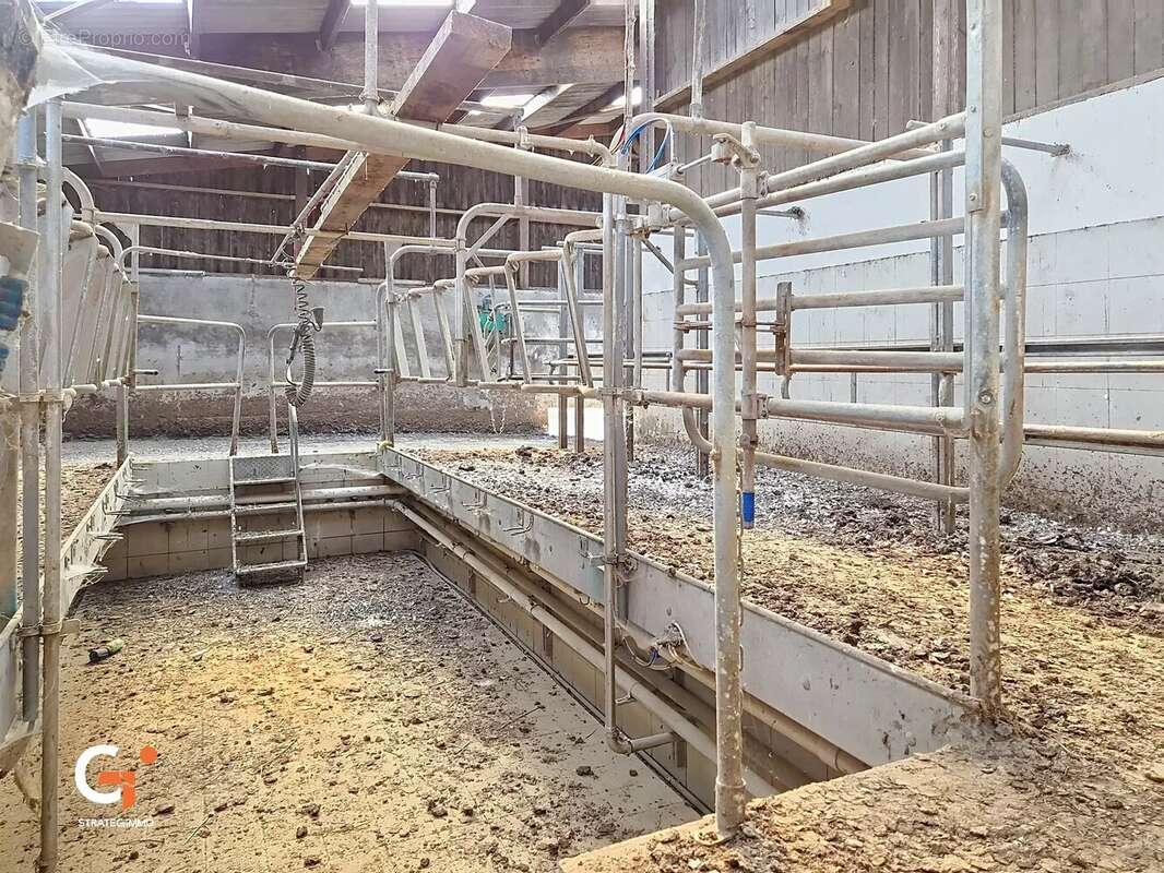À VENDRE — Rare sur le marché : Corps de ferme  sur 3,75 hectares au cœur du Pays de Bray - photo 20