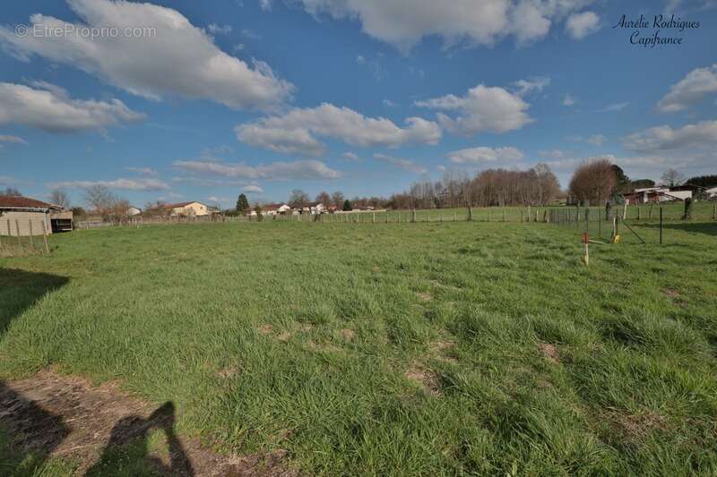 Maison à vendre 3 pièces BOZ (01) - photo 17