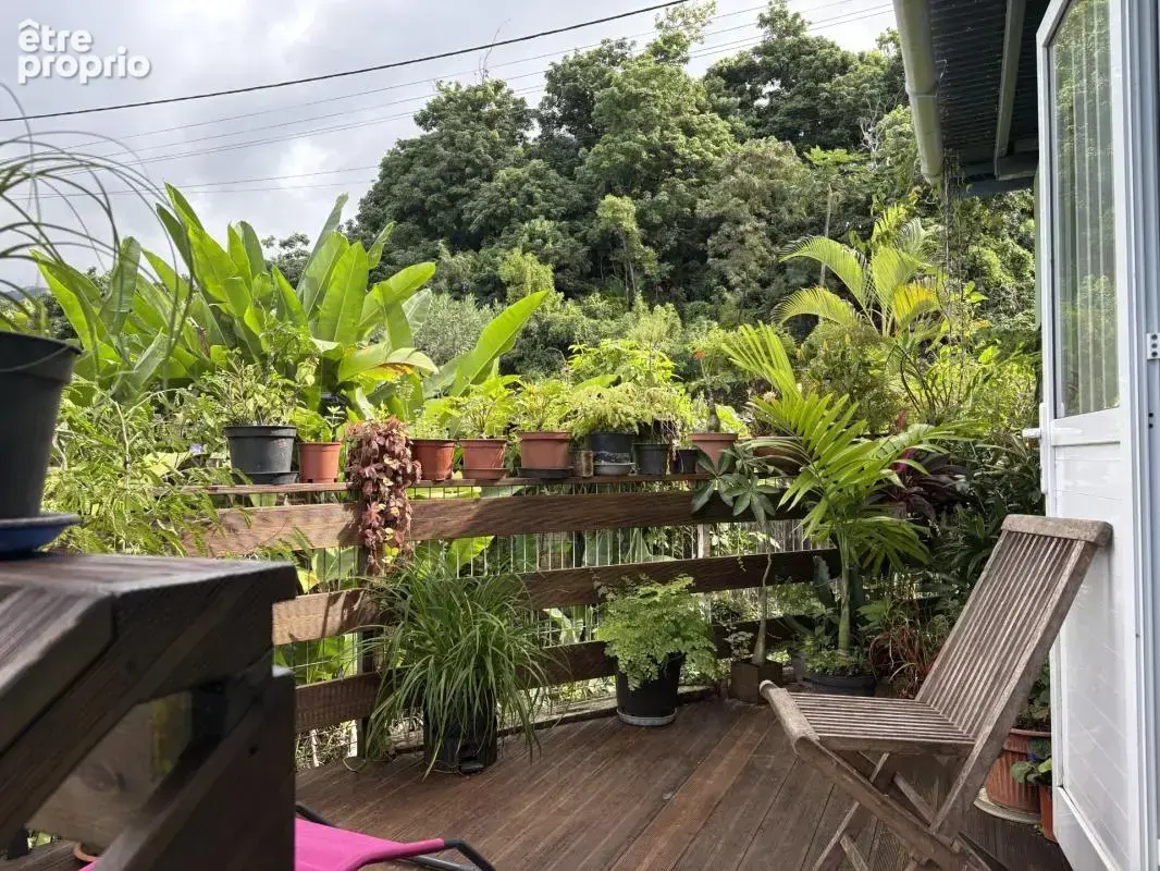 Maison d'exception avec vue Océan Indien – Idéal Résidence ou Projet Écotouristique / Gîte – Sainte-Rose (Secteur Anse des Casca - photo 13