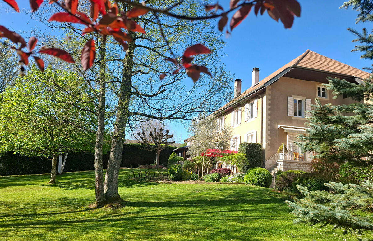 Maison à ARBOIS
