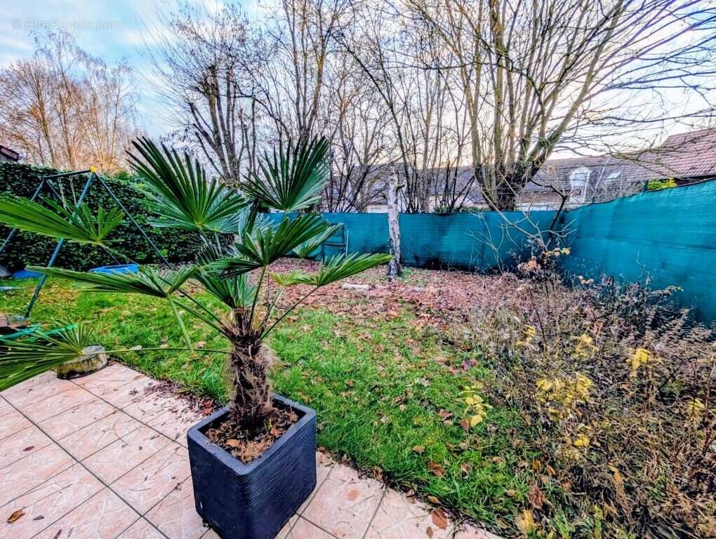 Maison à CHEVIGNY-SAINT-SAUVEUR