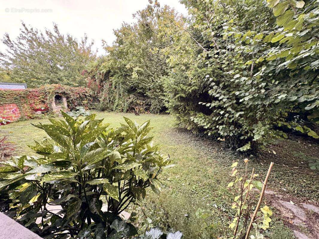 Maison à TOURNAN-EN-BRIE