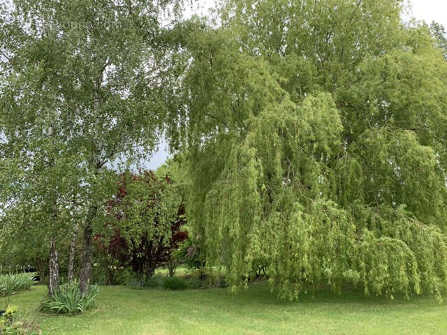 Maison longère de 200m2 avec vue panoramique - photo 15