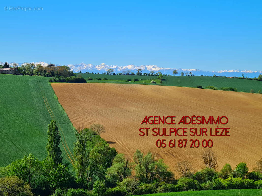 Maison à SAINT-SULPICE-SUR-LEZE