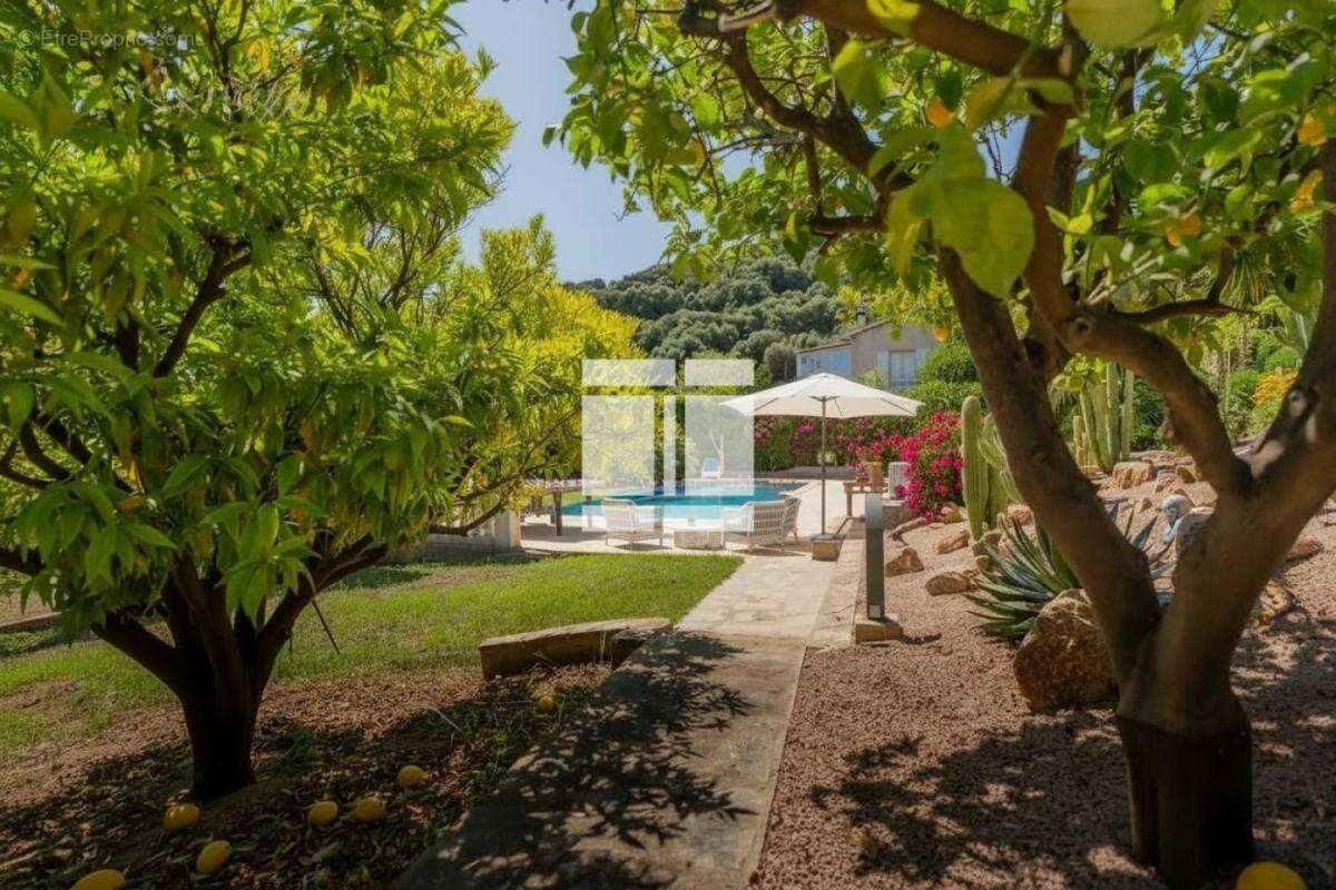 Maison à BASTELICACCIA