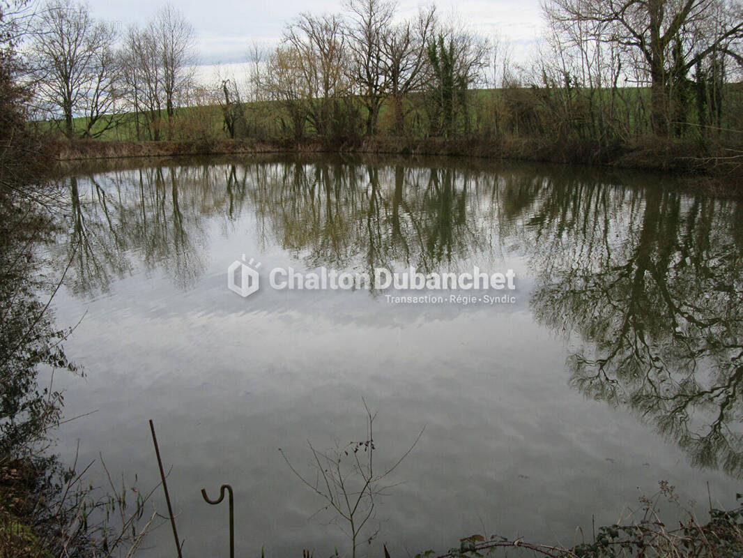 Terrain à SAINT-CYR-DE-FAVIERES