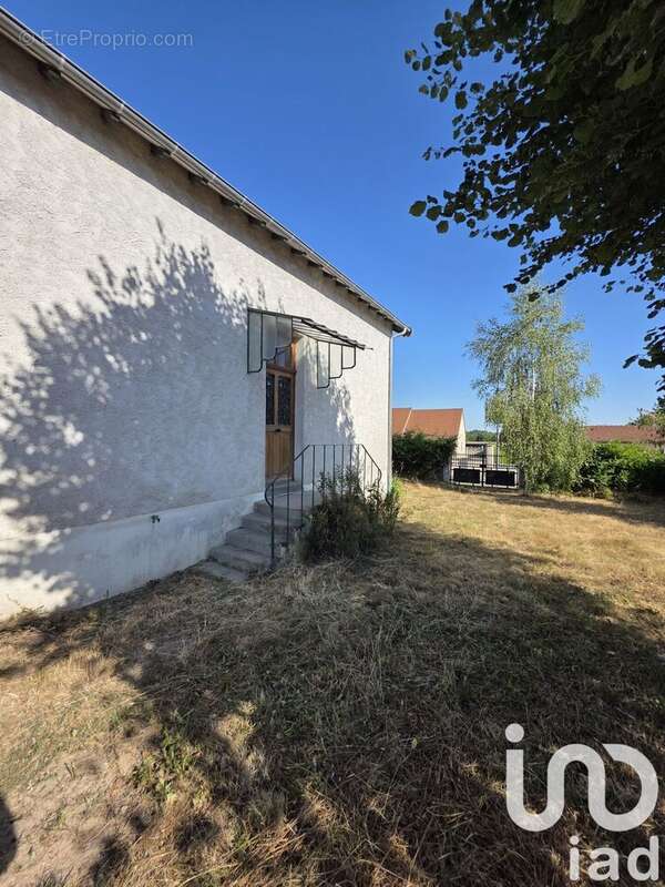 Photo 5