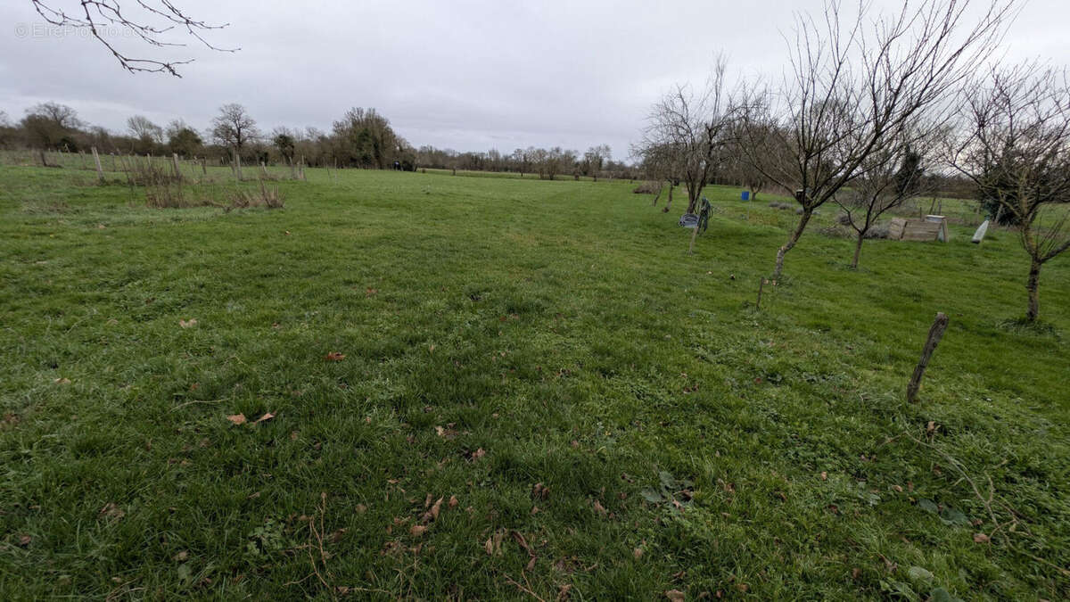Photo 9 - Maison à SAINT-PIERRE-LE-VIEUX