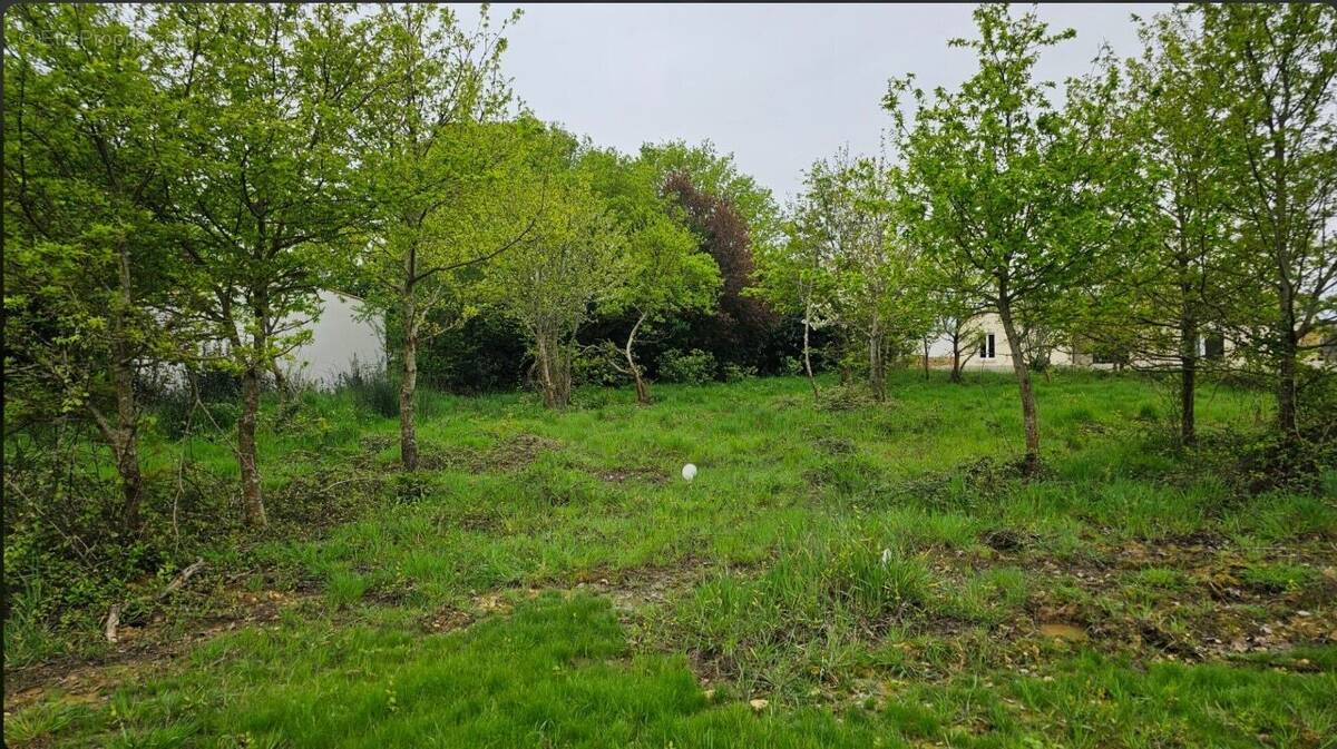 Terrain à LA TREMBLADE