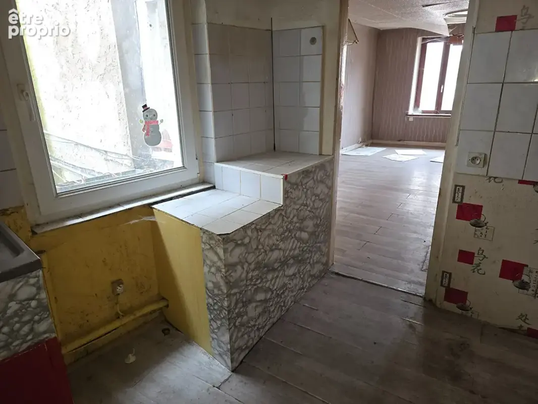 Immeuble Saint Avold 5 pièce(s) 260 m2 - photo 5