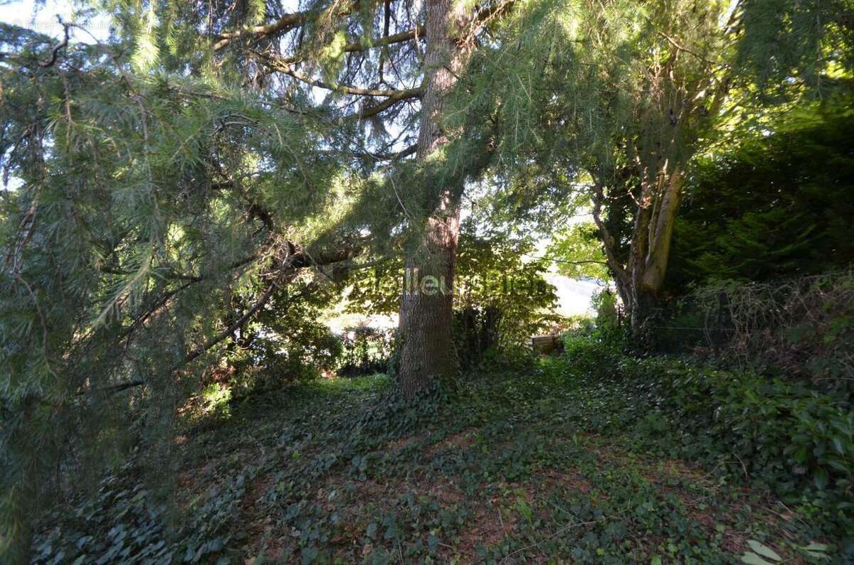 Maison à SATHONAY-CAMP