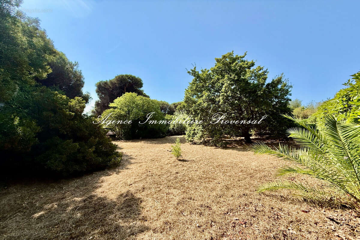 Terrain 2392 m² à Sainte-Maxime  - photo 2