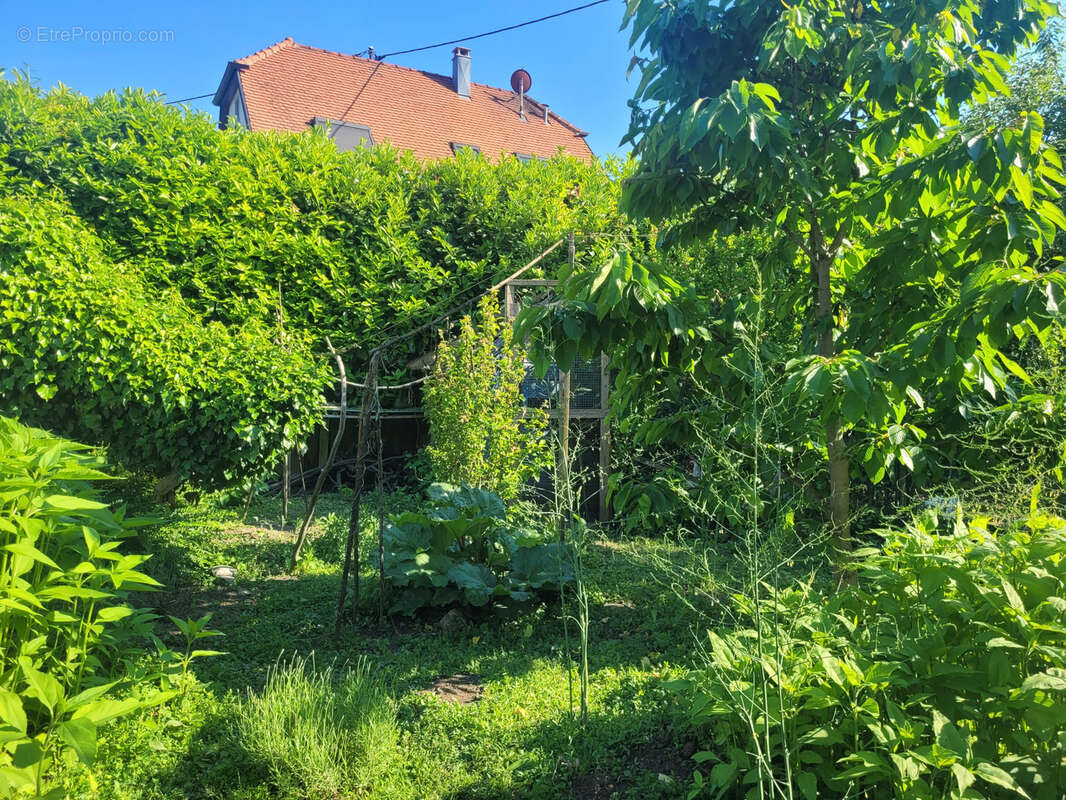 Maison à VILLAGE-NEUF