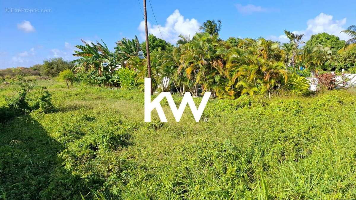 Maison à SAINT-FRANCOIS