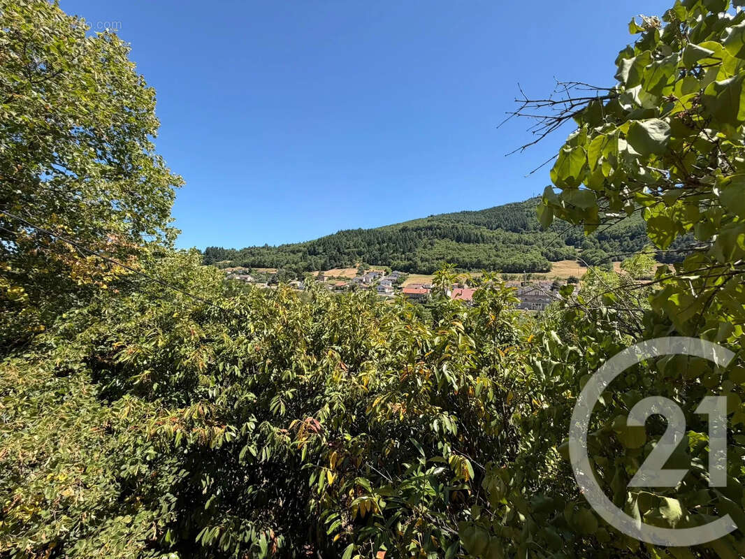 Maison 40 m² à Satillieu  - photo 23