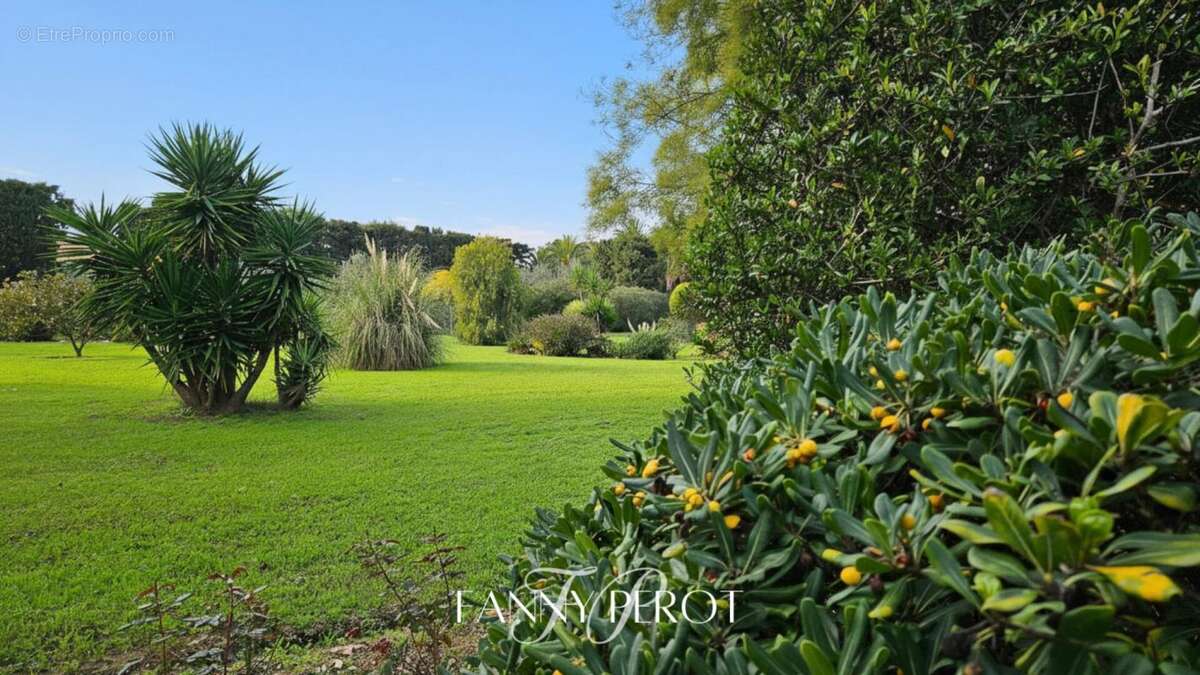 Maison à SAINT-CYPRIEN